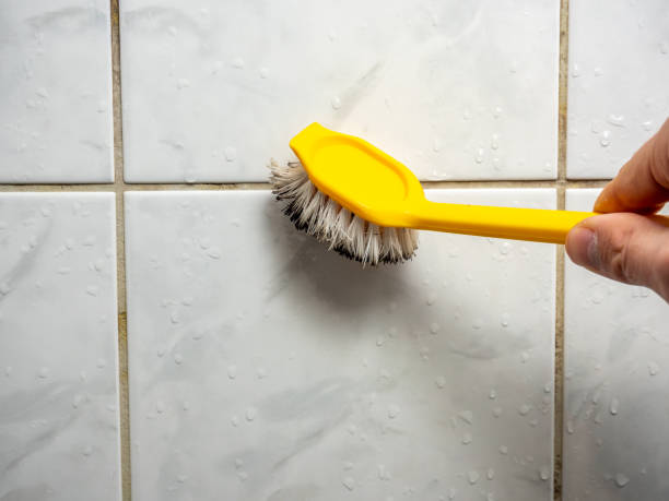 Best Best Mold Removal Companies  in Fowlkes, TN